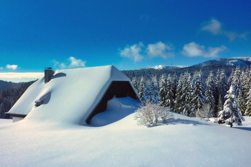 Vue sur le Feldberg © Raymond Chabanier