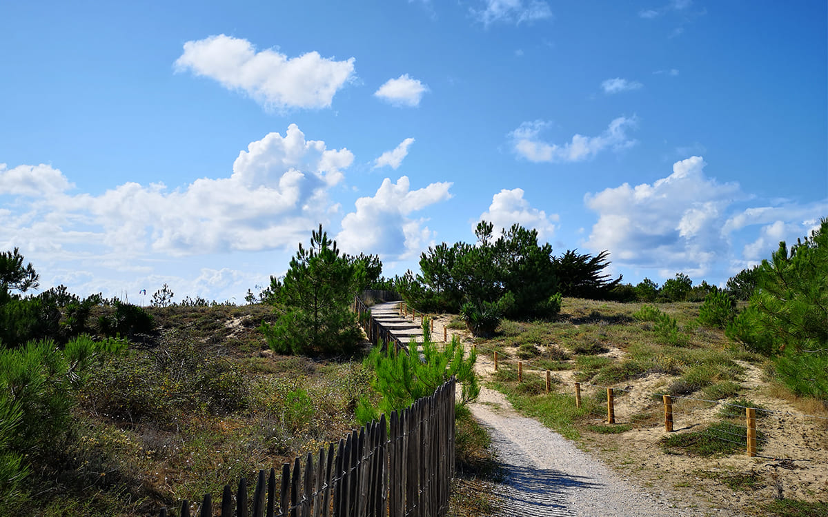 Le sentier des Dunes Cap Ferret © Angélique Saget