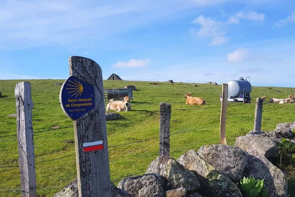 Chemin de Saint-Jacques-de-Compostelle - GR®65 - Tourisme en Aubrac