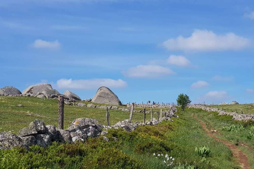 Blocs erratiques sur le plateau d’Aubrac © Anne-Marie Billault