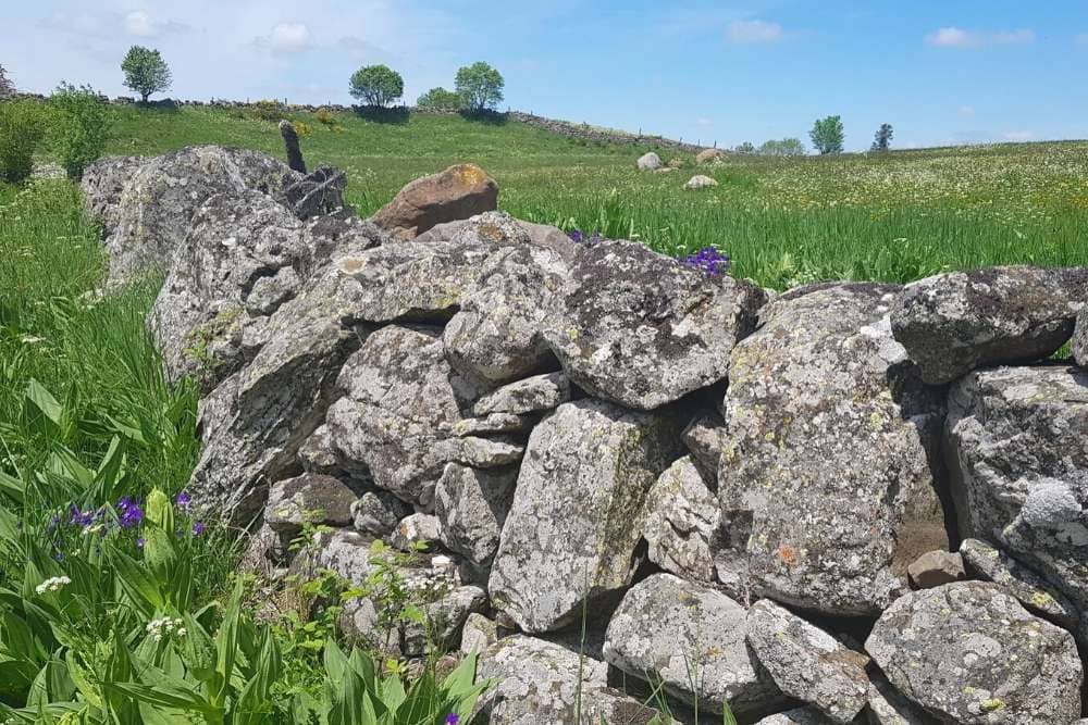 Mur sur le haut plateau de l’Aubrac © Anne-Marie Billault