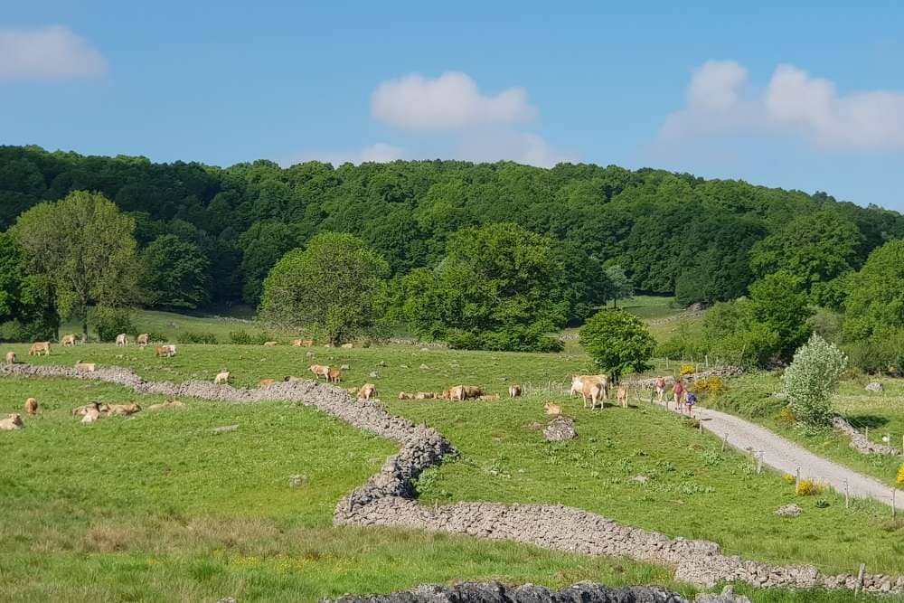 Le plateau d’Aubrac © Anne-Marie Billault