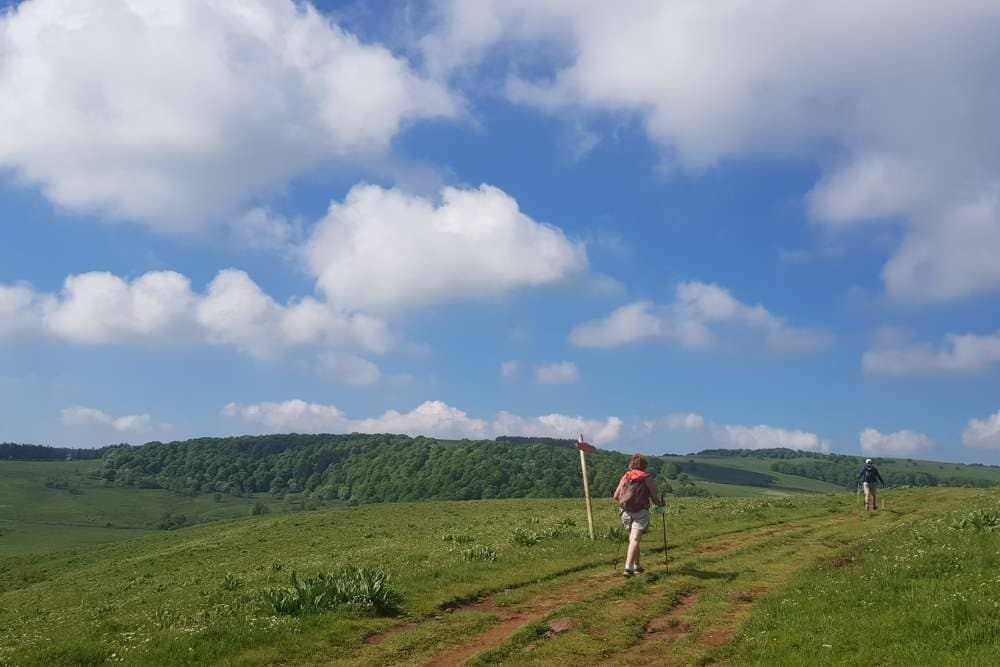 Aubrac, immensité des alpages © Anne-Marie Billault