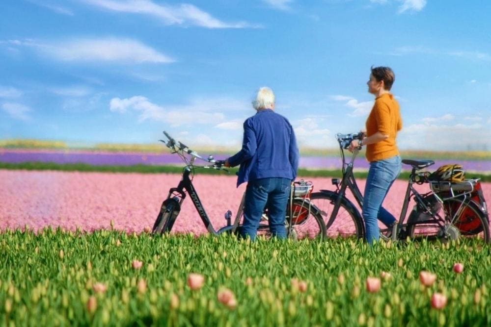 Traversée en vélo dans les champs de tulipes en Hollande aux Pays-Bas