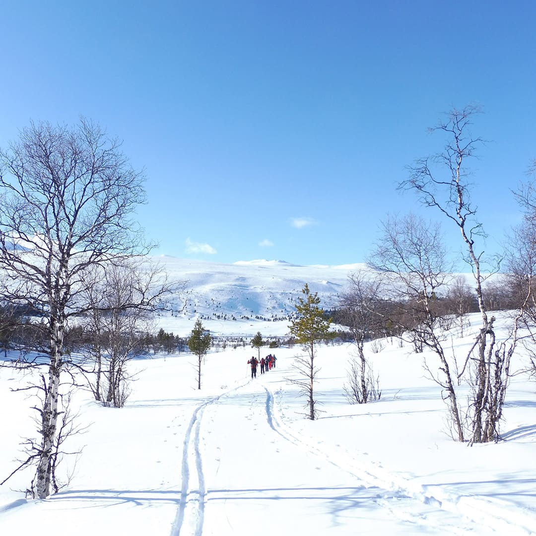 Vallée de la Sjoa © Raphaelle Mollard