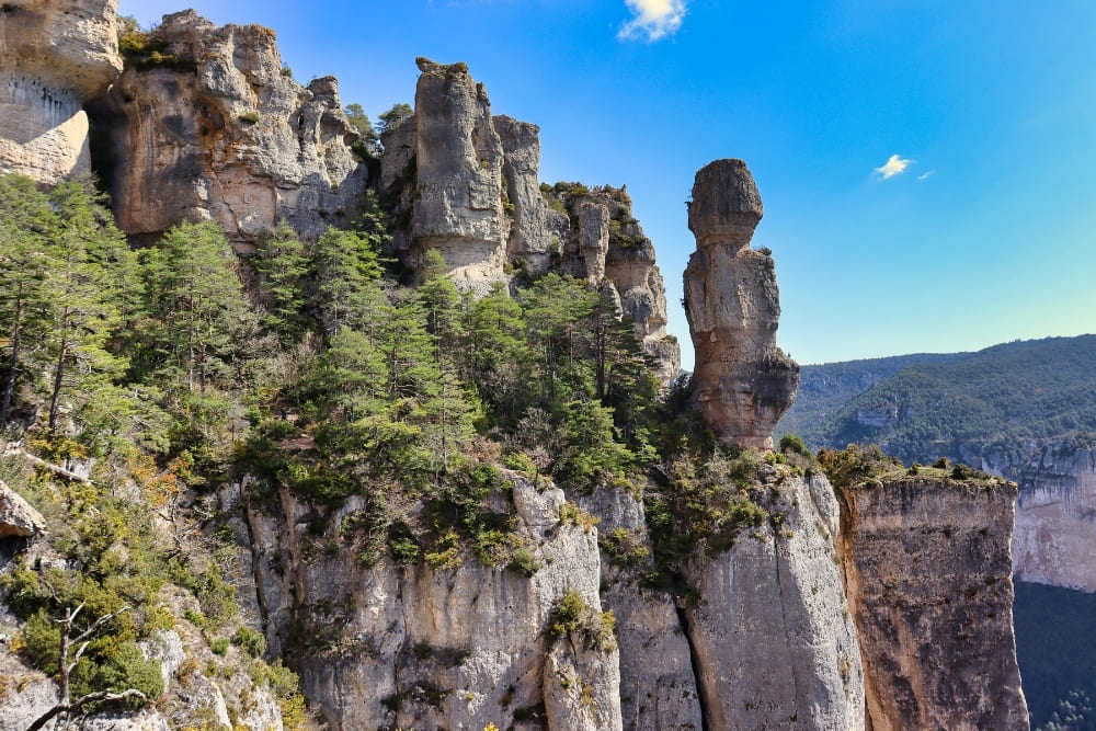 Vase de Sèvres et falaises de la Jonte en randonnée © Claire Durot