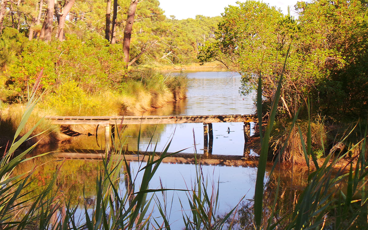 Réservoir de Piraillan © Angélique Saget