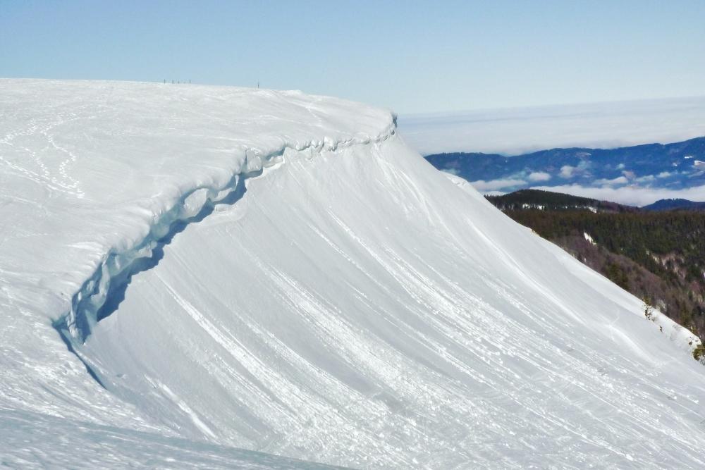 Plateau sommital du Feldberg © Raymond Chabanier