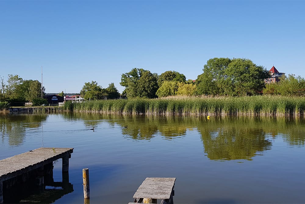 Lac vers Neustrelitz © Anne-Marie Billault