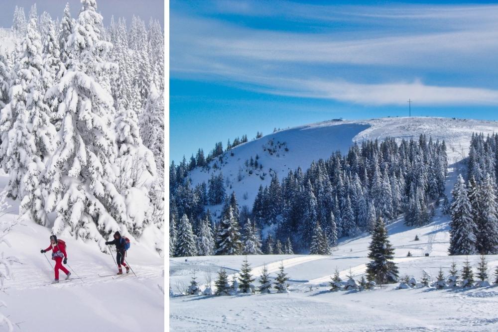 Montée au Feldberg & Sommet du Herzogenhorn © Raymond Chabanier