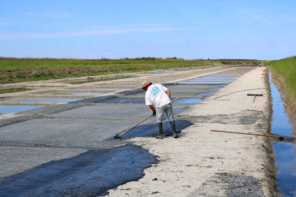 Agriculteur dans un marais salant de l’île de Ré © Florian Calvat