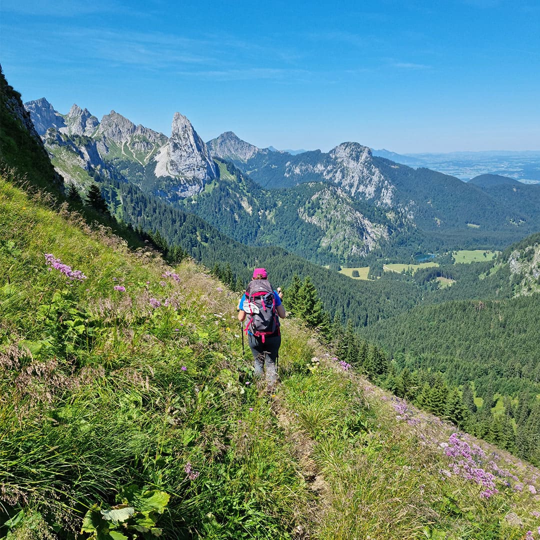 Alpages vers Linderhof © Damien Bonnet