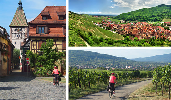 Vignoble alsacien à vélo