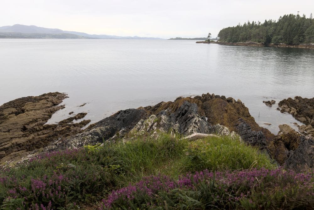 Au bord de mer © Dominique Boyer