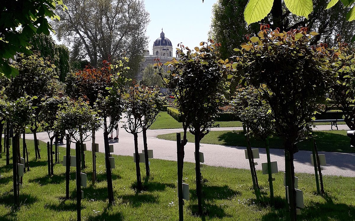 Balade dans le jardin Volksgarten