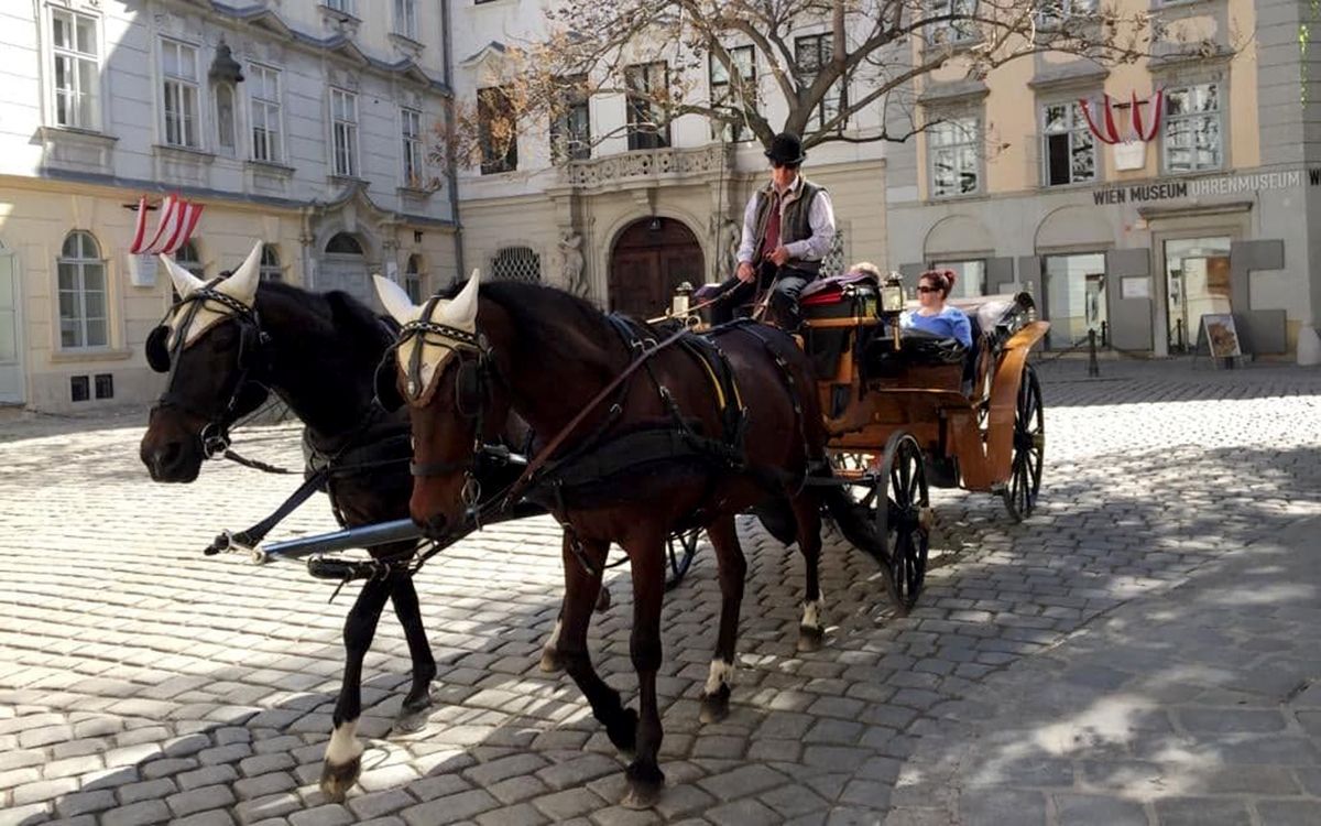 Calèche sillonnant la Hofburg