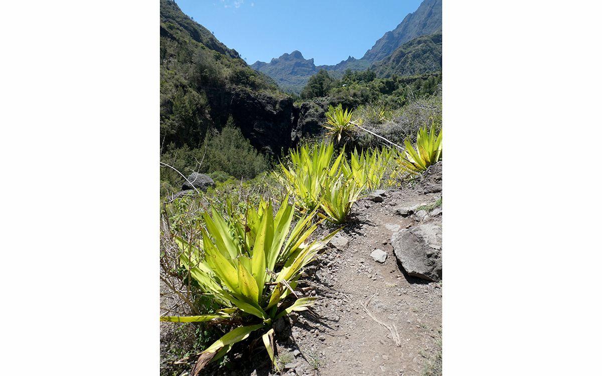 Le cirque de Cilaos et le col de Taibit au loin