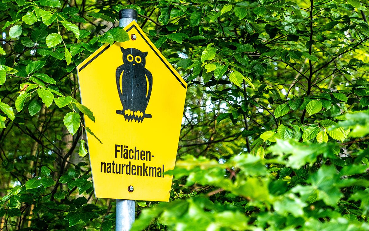 Espace naturel protégé près de Freiberg, Allemagne