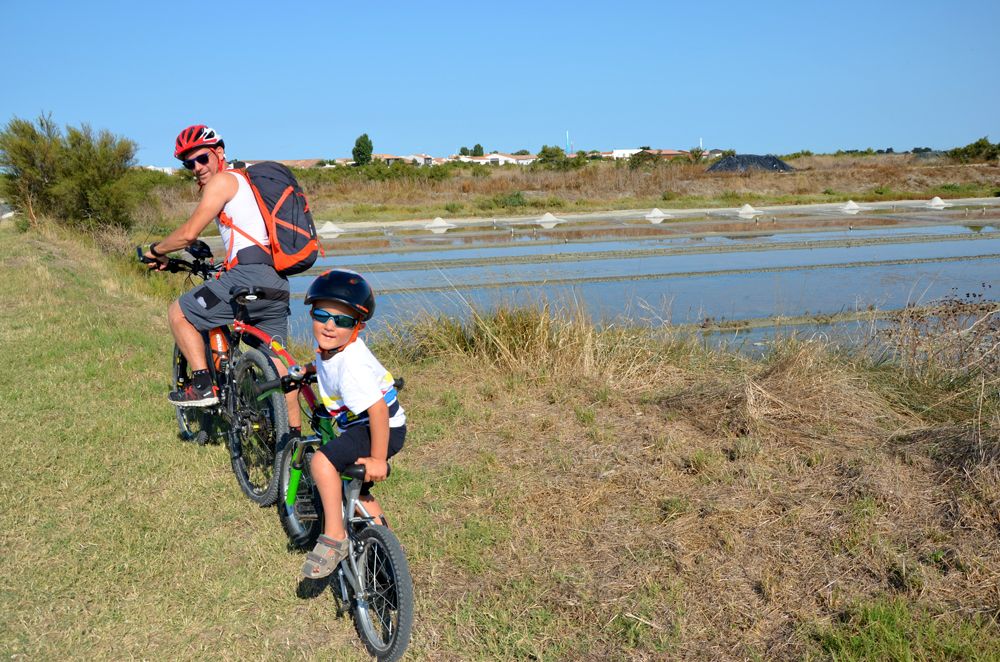 Famille à vélo au bord d'un marais salant sur l'île de Ré