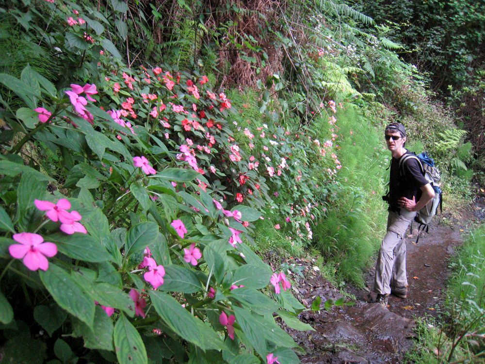 La fraîcheur du sentier de la côte Nord