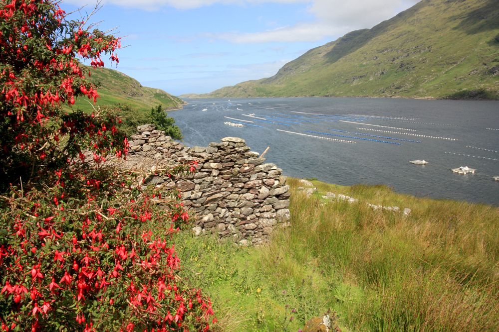 Killary Harbour