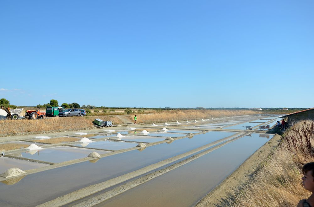 Marais salant près de Loix sur l'île de Ré