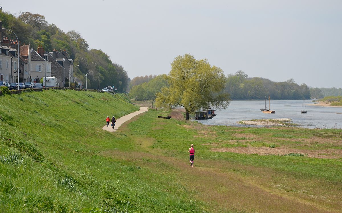 Piste cyclable le long de la Loire entre Blois et Amboise