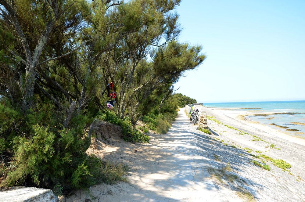 La plage de Conche à l'Ouest de l'île de Ré