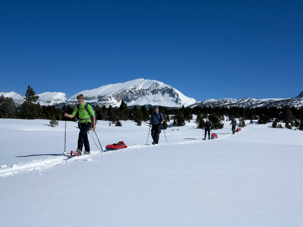 En pulka sur les Hauts-Plateaux du Vercors devant le Grand Veymont