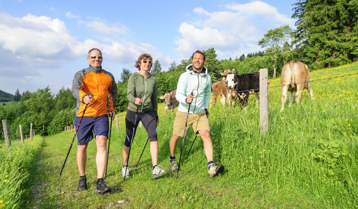 Randonneurs avec des bâtons de randonnée © Alexander Rochau, Adobe Stock Randonneurs avec des bâtons de randonnée