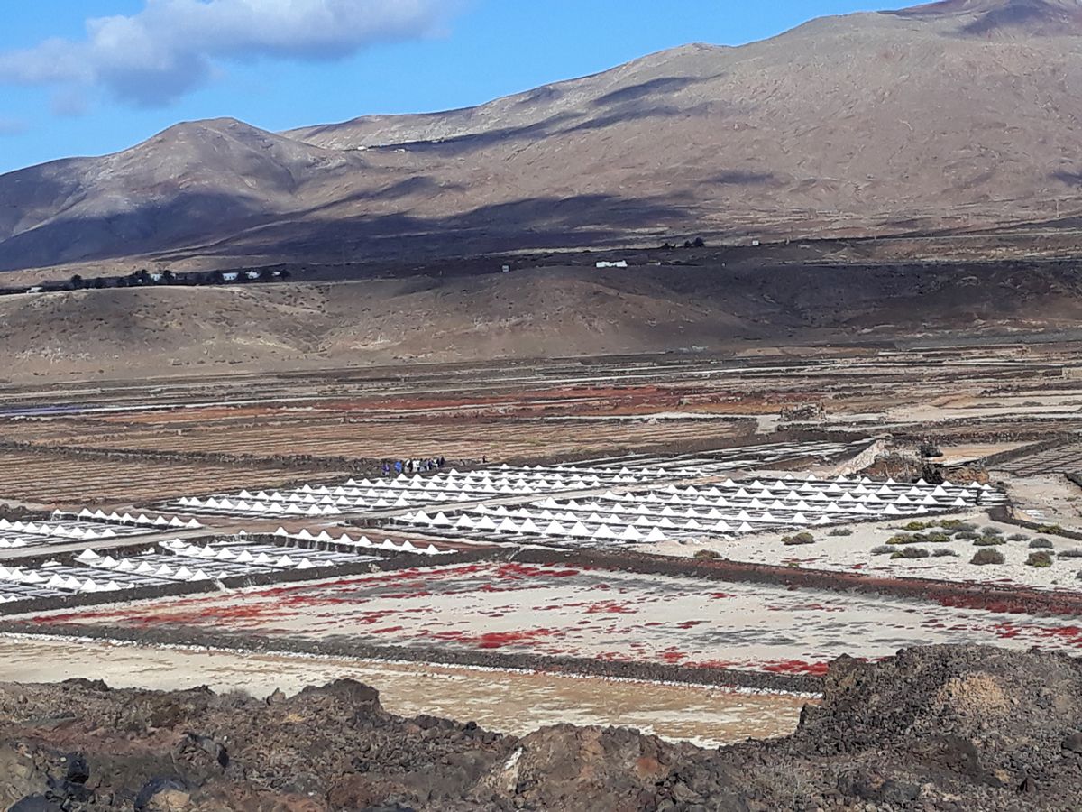 Sur la route du retour, nous passons près des salines de Janubio. Magnifiques alignements de petits tas blancs