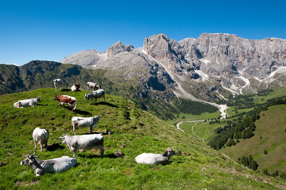 Vue sur le Val Duron, la formation rocheuse du Molignon à droite et la Croda del Lago à gauche