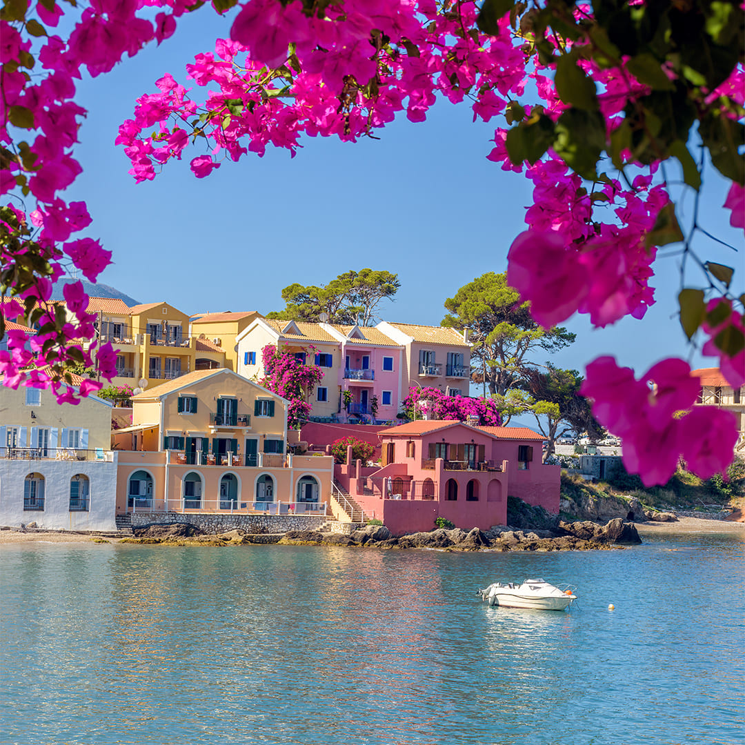 Bougainvillers à Assos © valantis minogiannis - Adobe Stock