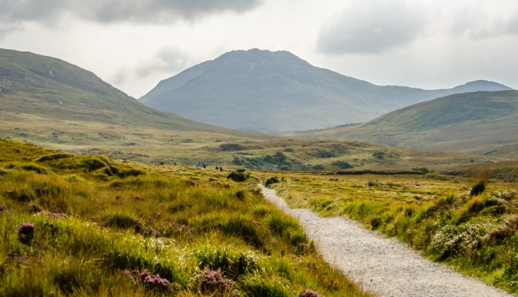 Parc national du Connemara