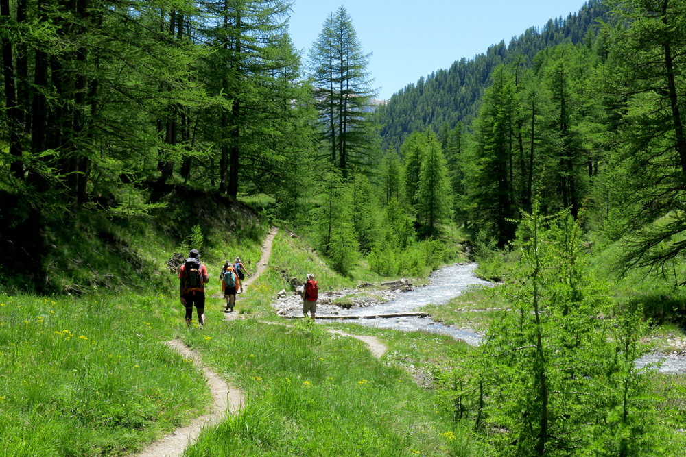 Descente le long du Malrif © François Ribard