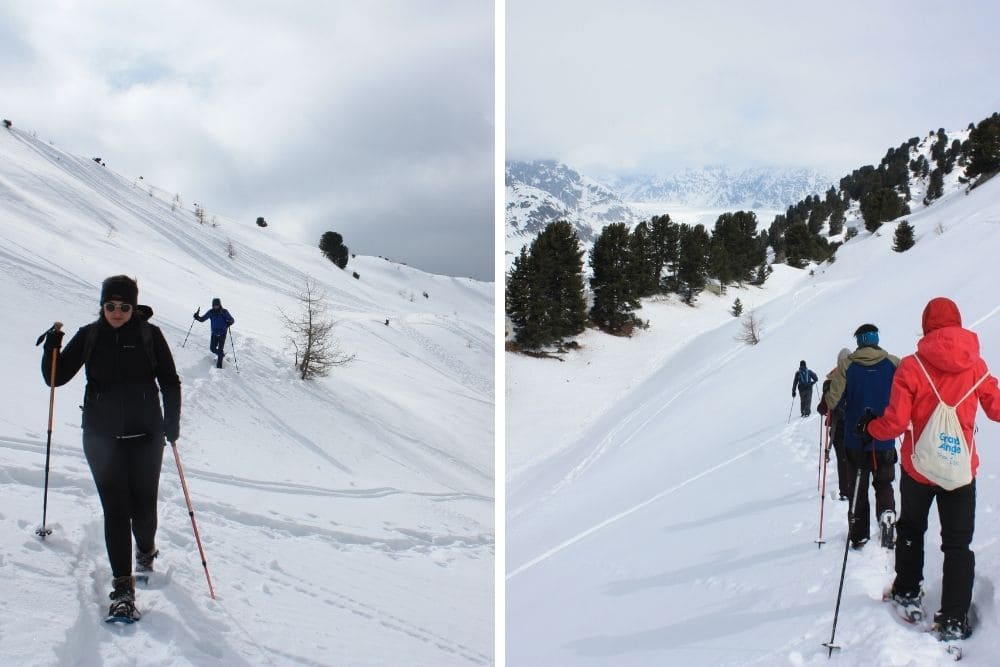 Descente dans la forêt d'Aletsch