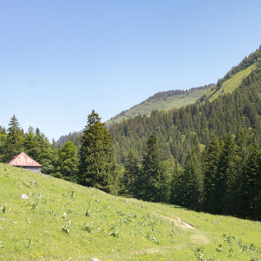 Randonnées et raquettes dans les Bauges dans les Alpes du Nord