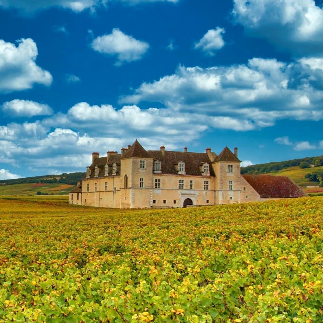 Randonnée et vélo en Bourgogne