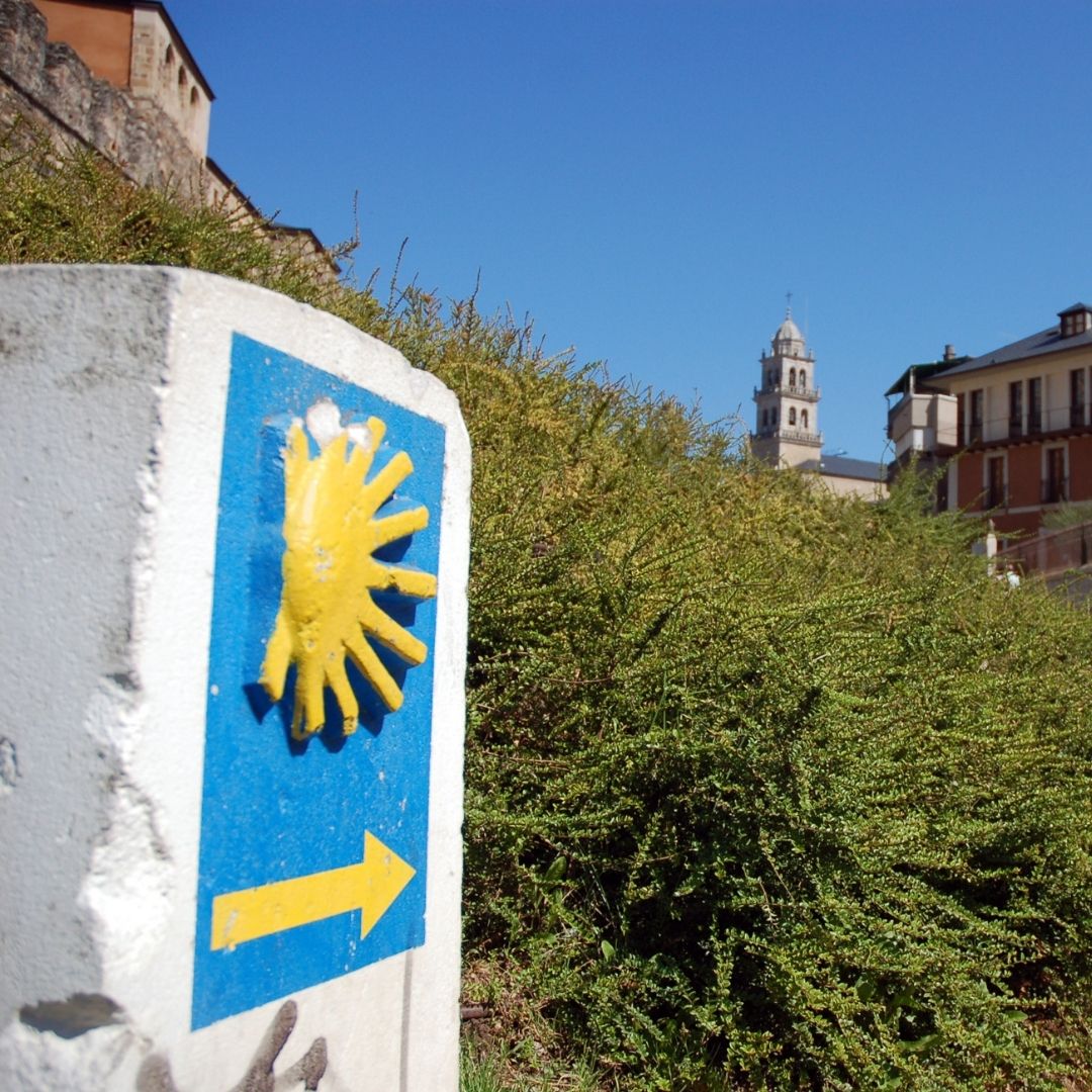 Randonnées sur le Chemin de Compostelle