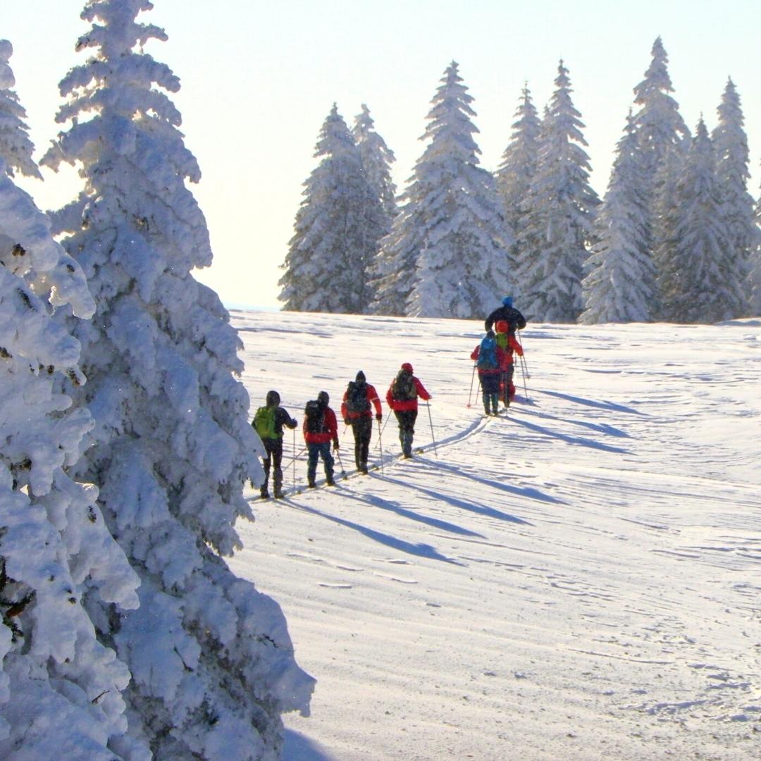 Randonnées dans le Jura