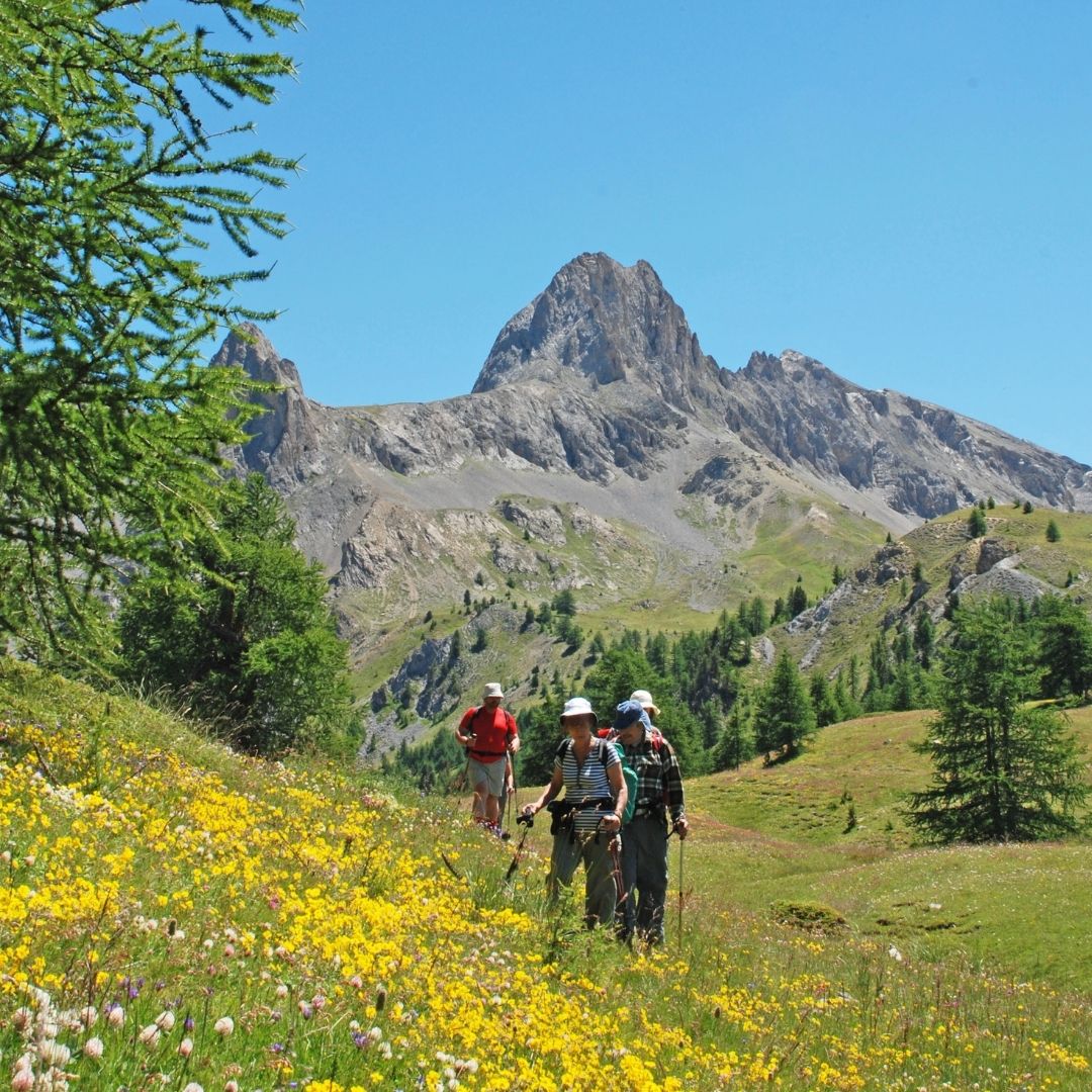 Randonnées et raquettes dans le Queyras dans les Alpes