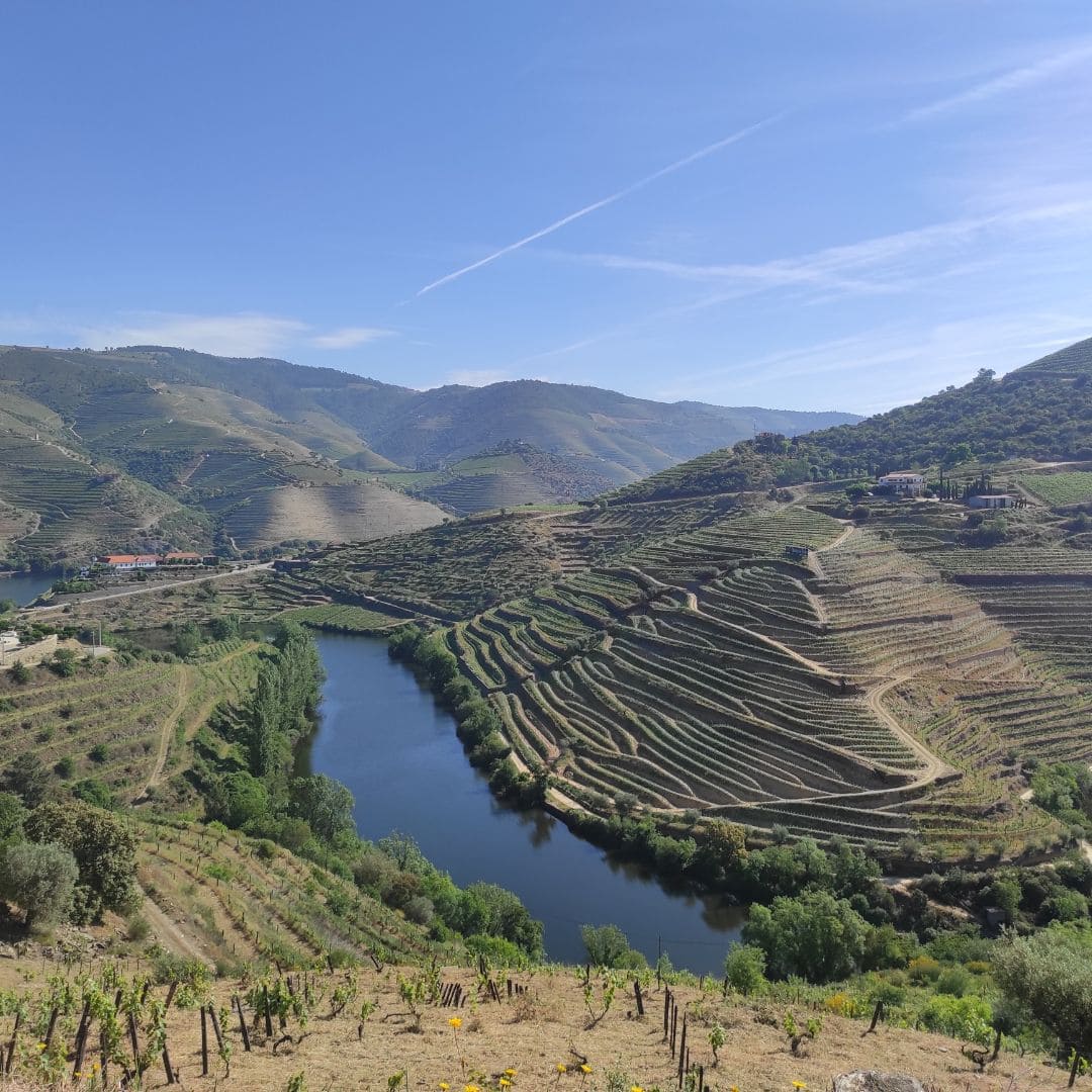 Vallée du Douro