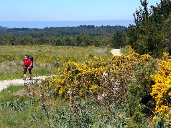 Randonneur sur les chemins de Saint-Jacques