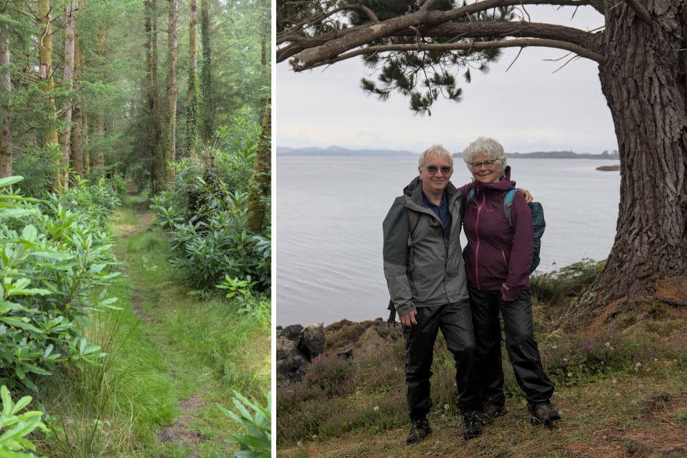 Forêt bien verte et photo souvenir © Dominique Boyer