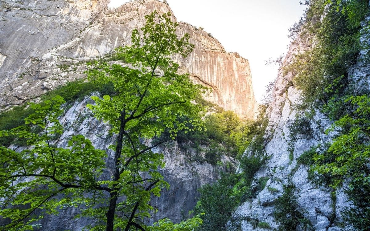 Gorges du Verdon