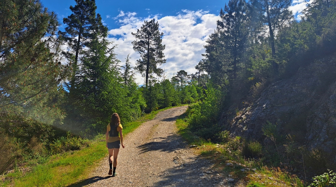 Jour 4, sentier