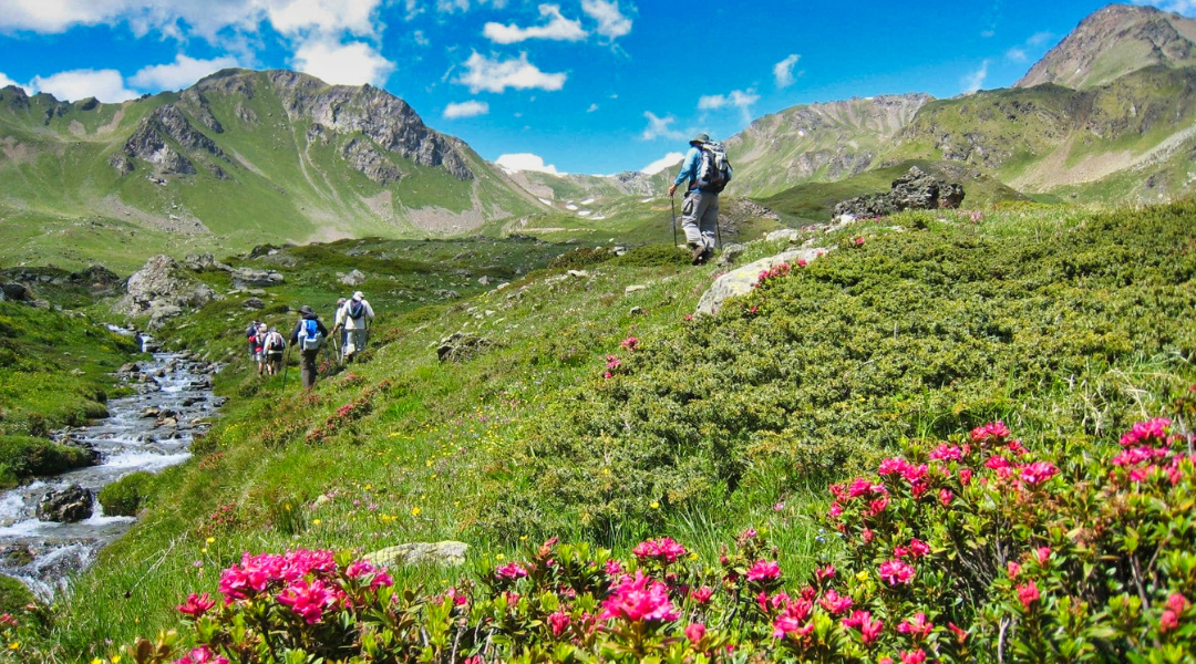 TOUR DU GRAND PARADIS