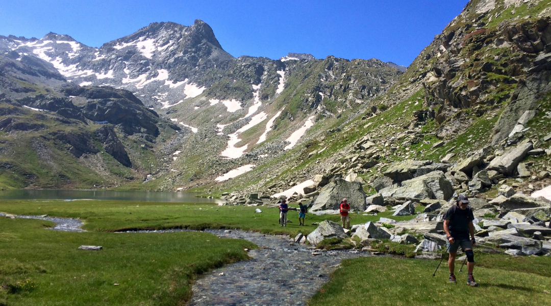 TREK TRAVERSEES DES ALPES