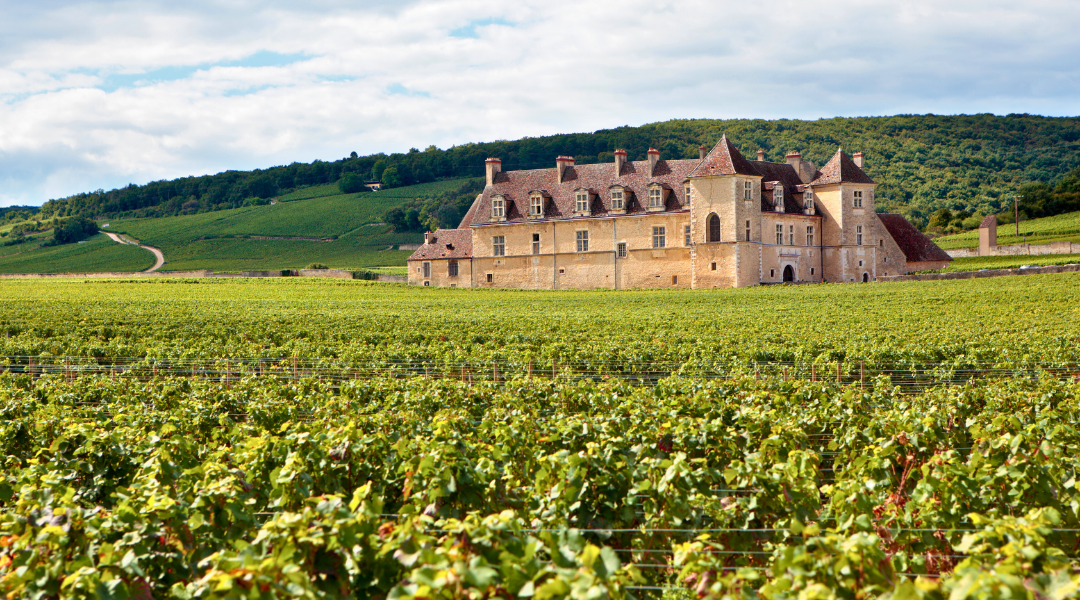 bourgogne