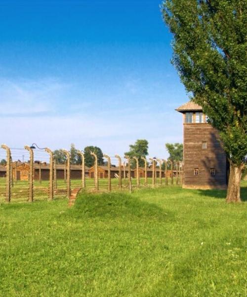 J11 - Camp de concentration d'Auschwitz